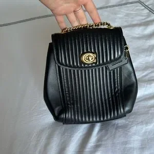 Coach Parker Backpack- limited E- quilted leather- eggplant velvet interior Coach Parker Backpack: First Impressions/Why I Bought It  main image 2